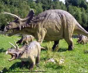 yapboz Triceratops